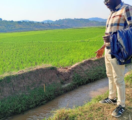 IMG_20240805_161230_456